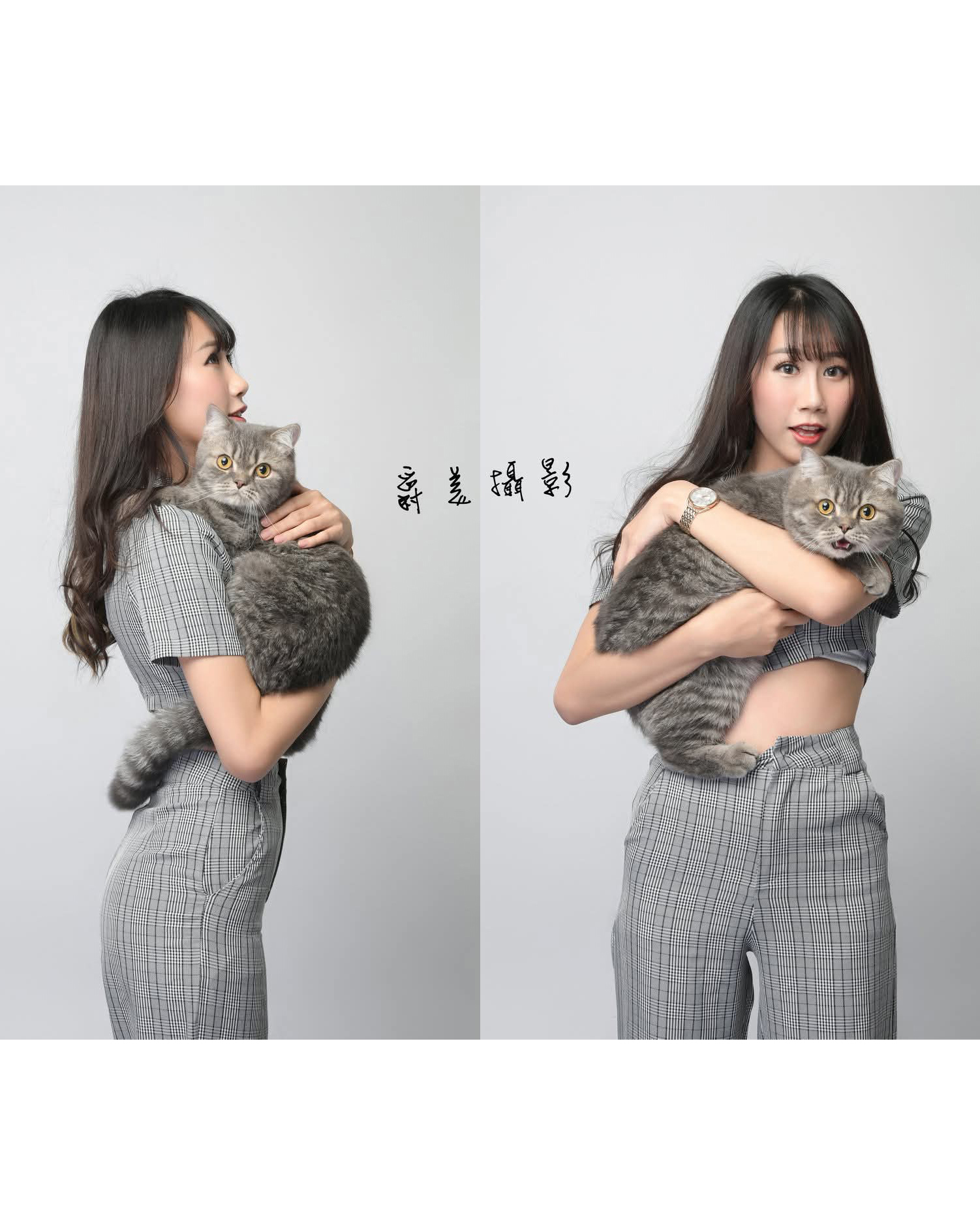 寵物合照